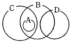 z32.png(5955 byte)