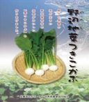 野辺地葉つきこかぶ