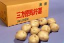 三方原馬鈴薯
