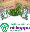 にいかっぷピーマン