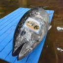 紀州勝浦産生まぐろ